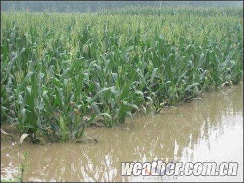 河北入汛最強降雨結束 今夜新輪雨水再來