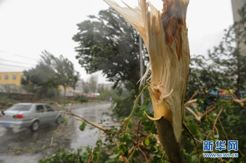 布拉萬北上侵襲 吉林省多地遭遇強風雨