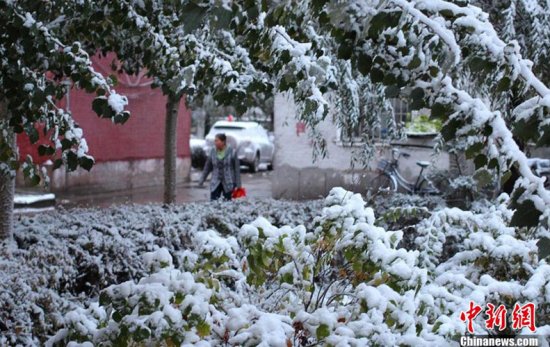 齊齊哈爾下雪了
