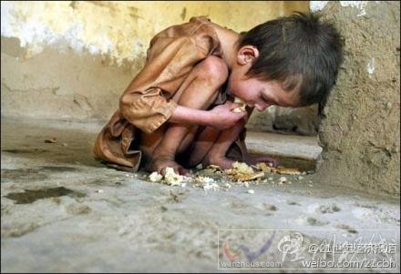 中國(guó)每年浪費(fèi)的糧食700億斤