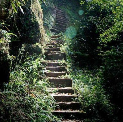 重慶愛情天梯旅游景點