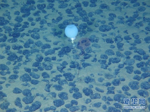 蛟龍號深海拍攝的奇異生物照片