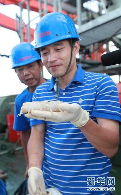 蛟龍號捕獲的一只海參