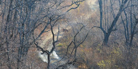 吉林?jǐn)z影師山路遇虎