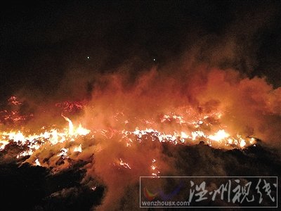 溫州甌浦垟一空地發生大火