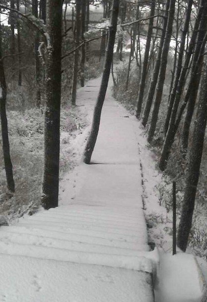 浙江下雪了，2013年冬季浙江湖州安吉第一場(chǎng)雪
