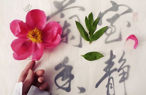 12生肖馬年運(yùn)勢(shì)
