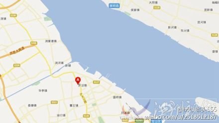 寶山區大火位置