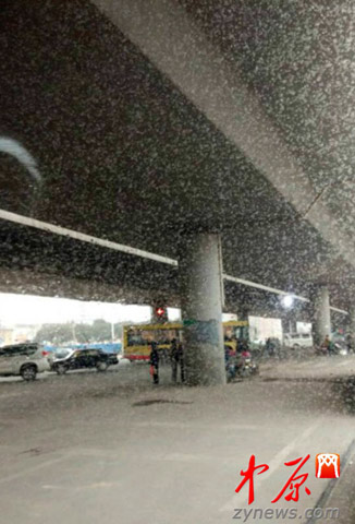 鄭州飄下“桃花雪” 乍暖還寒最高氣溫降至個位數(shù)
