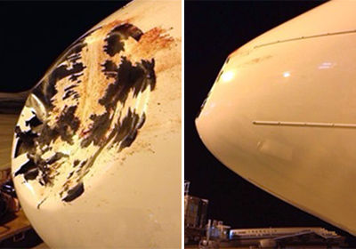 海航飛機被鳥撞凹 機頭雷達罩被撞出大窟窿