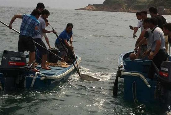 惠州漁民捕到巨魚