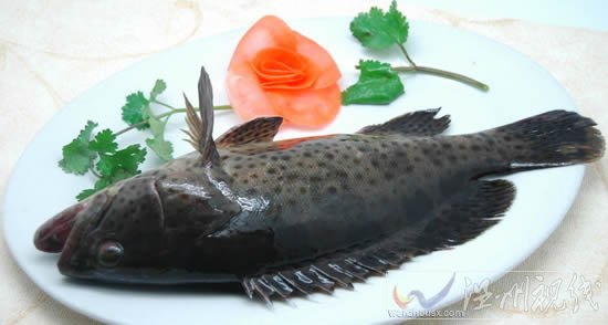 黑石斑魚