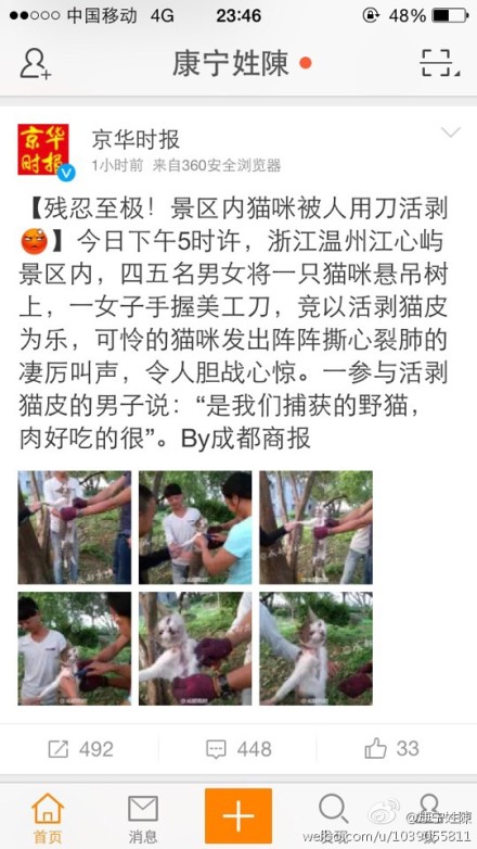 溫州江心嶼景區(qū)多名外地人活剝小貓
