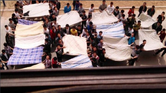 北方民族大學(xué)被子哥