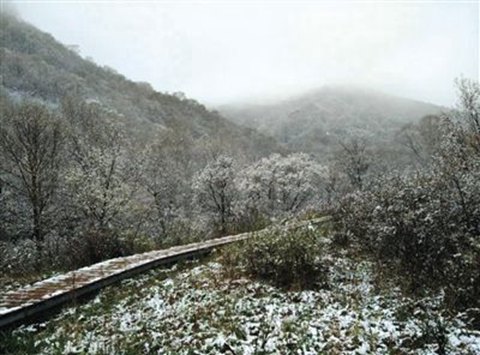 北京靈山五月飄雪，2015年5月9日北京靈山風景區下雪了
