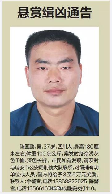 瑞安莘塍殺人案兇犯陳國勤落網