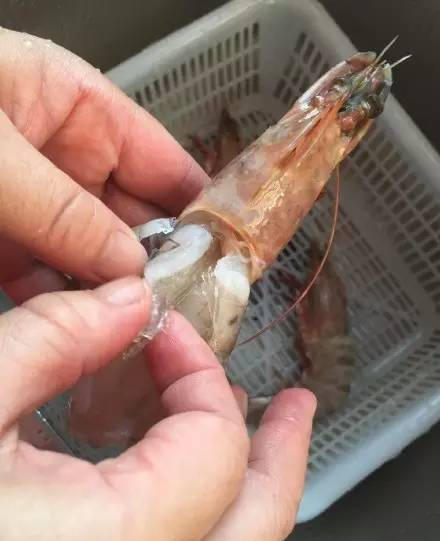 溫州市場現(xiàn)注膠蝦