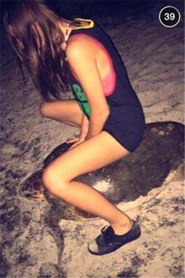 女子騎海龜被控5年監(jiān)禁