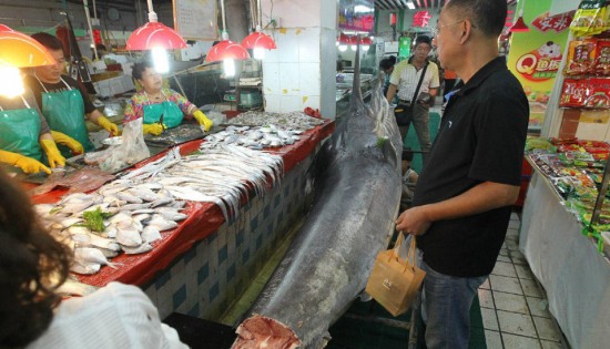 青島漁民破紀錄捕獲超級大箭魚