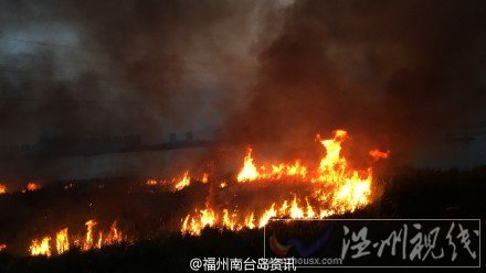 浦上大橋下  烏龍江邊草地大火