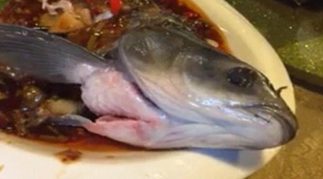 廣州餐館現(xiàn)僵尸魚