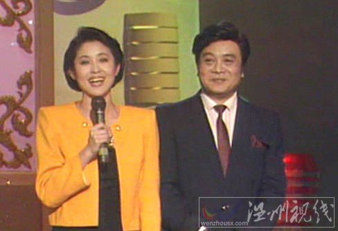 趙忠祥揭春晚一審 細節(jié)
