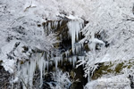 云臺(tái)山風(fēng)景 連云港云臺(tái)山霧凇和冰瀑風(fēng)景