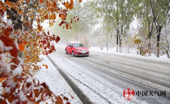 延慶暴雪