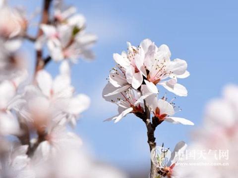 較強(qiáng)冷空氣將襲中東部局地降溫12℃ 5省有暴雨