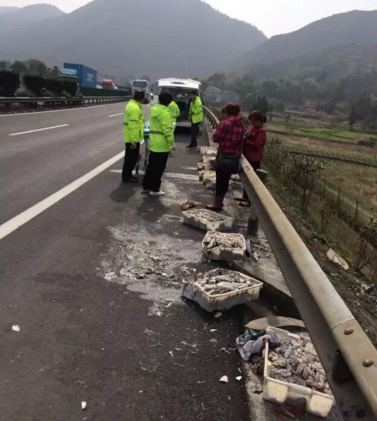 樂(lè)清高速車禍