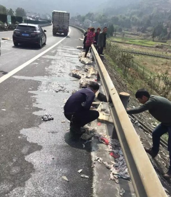 樂(lè)清高速車禍