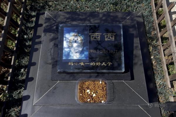 北京興起寵物墓