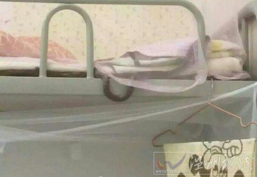 男生與蛇睡一夜