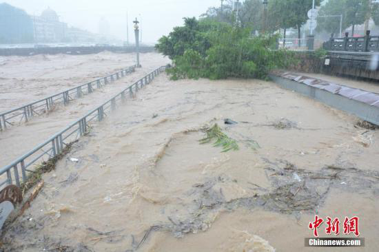 臺(tái)風(fēng)莫蘭蒂浙江死亡人數(shù)