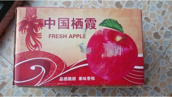 蘋果紙箱灌水泥