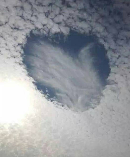 愛心云虐網友一臉