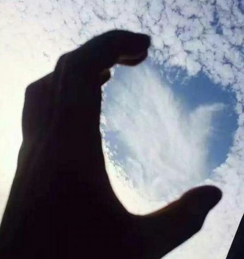 愛心云虐網友一臉