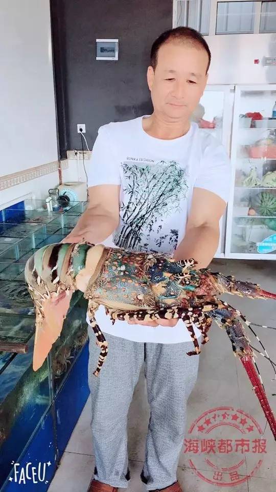 漁民捕獲七彩神蝦
