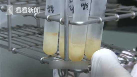 怕垃圾發(fā)臭塞冰箱