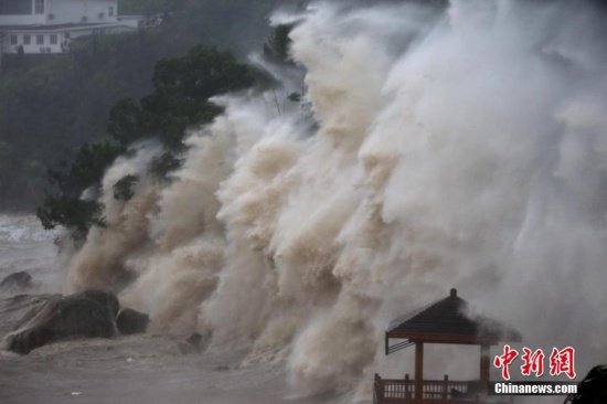 蒼南漁寮金沙灘巨浪