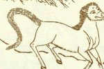 上古神獸圈粉無(wú)數(shù) 神奇