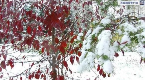 中國最冷小鎮迎來今秋首場大雪