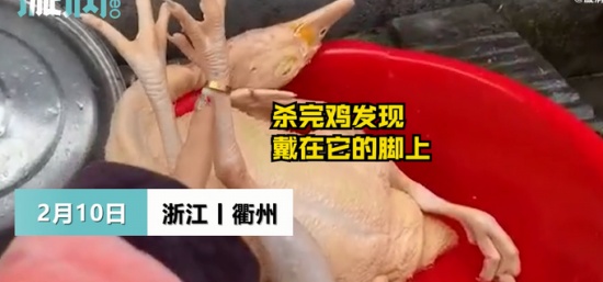 過(guò)年殺雞竟找到丟失多年的金戒指 戴在“雞腳”上還挺合適！