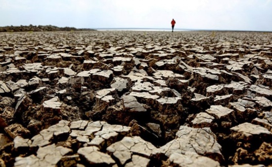 最新的氣候承諾之后 全球變暖將升溫2.4℃