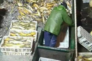 大黃魚船主:957萬貨款已到